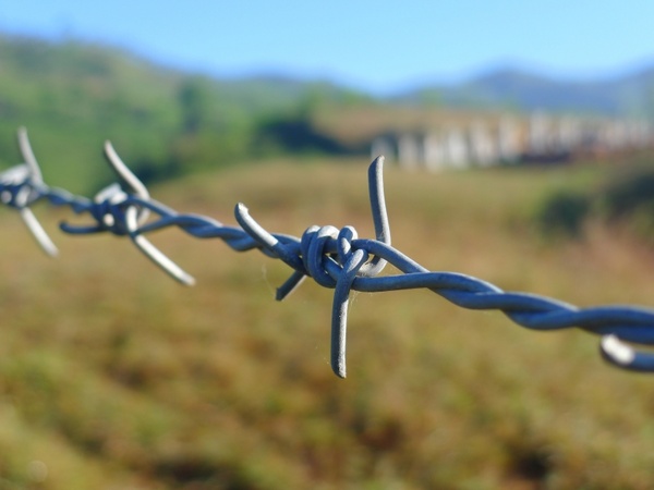 barbed wire fence border