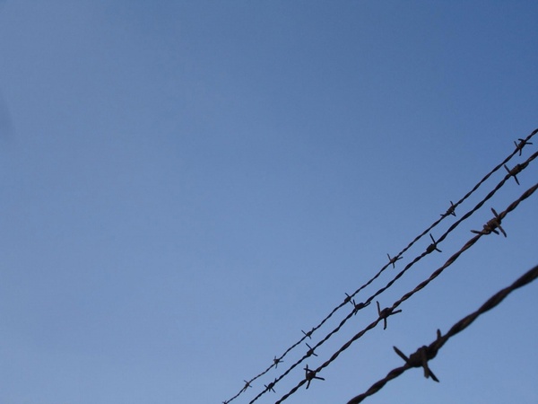 barbed wire protecting