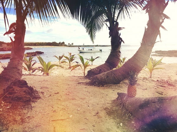 barefoot beach coast exotic hammock holiday idyllic