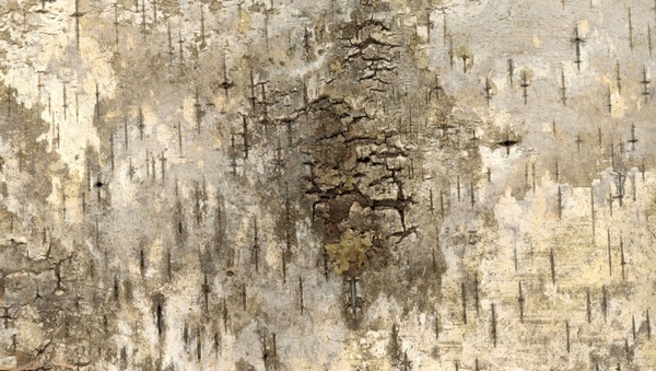 bark grunge texture background