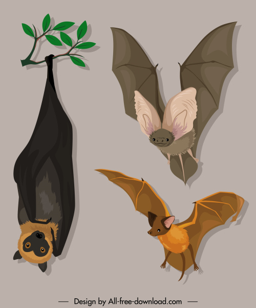bat species icons gestures sketch cartoon design