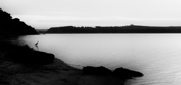 bay beach black and white coast fog island lake