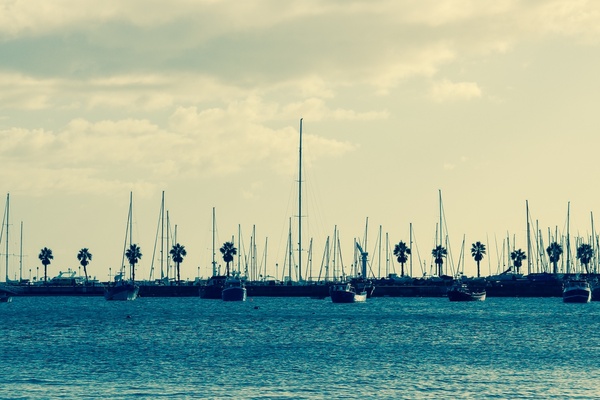 bay boat cloud dock harbour line mast ocean palm