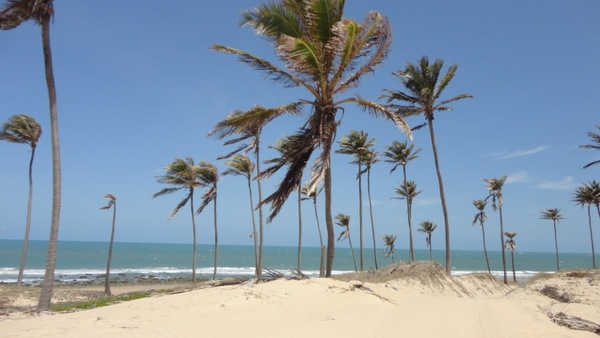 beach cear 