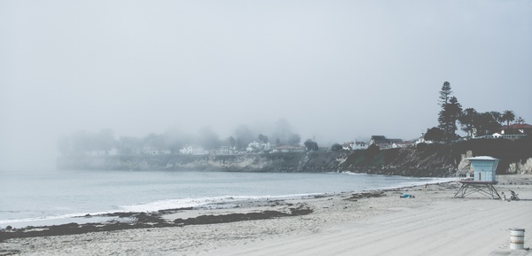 beach coast fog frozen ice landscape nature ocean