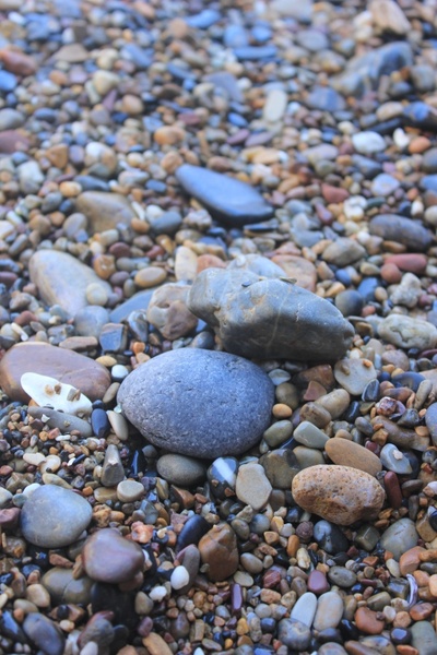 beach cobblestone stone