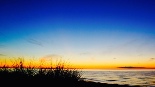 beach dawn evening field gold golden horizon