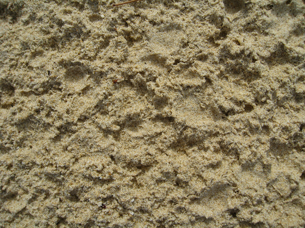 beach sand 