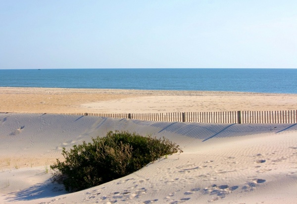 beach windswept sand erosion control