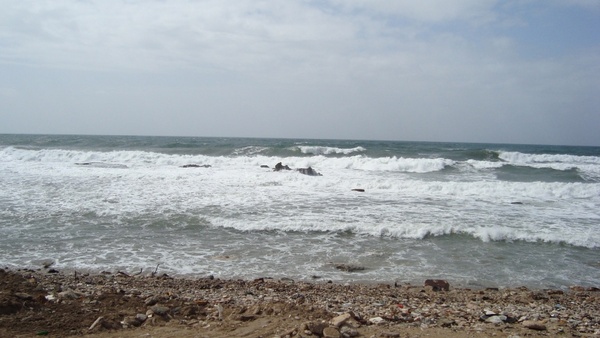 beaches in israel