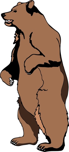 Bear 3