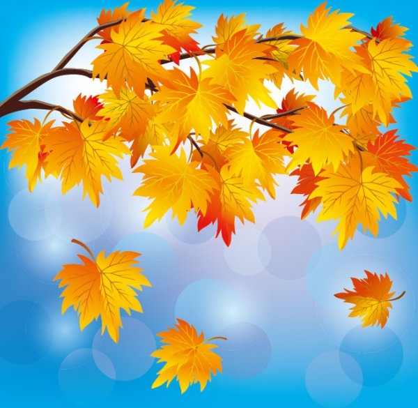 beautiful autumn leaf background 05 vector