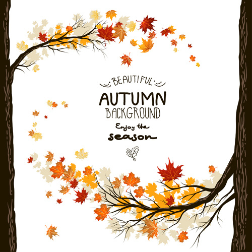 beautiful autumn leaves background creative vector