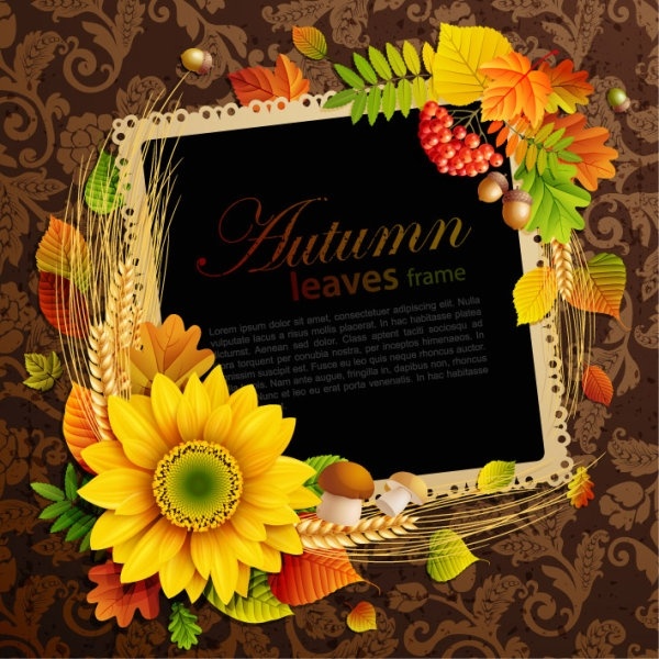 beautiful autumn leaves frame background 08 vector