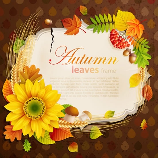 autumn frame background template elegant colorful plant elements