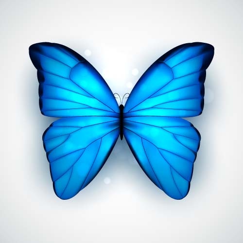 Download Animated flying butterfly png free vector download (73,079 ...
