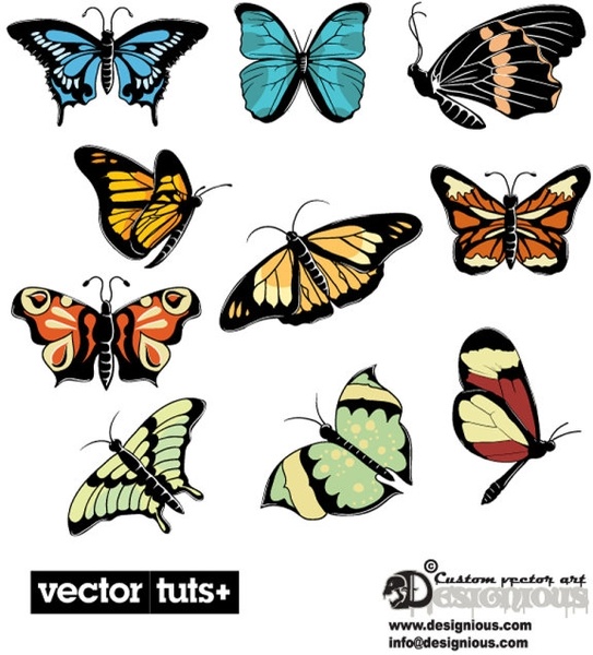 beautiful butterflies vector 