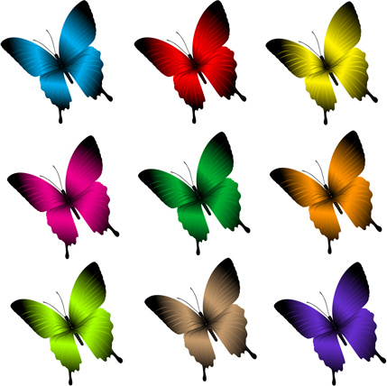 Beautiful butterfly free vector download (12,385 Free ...