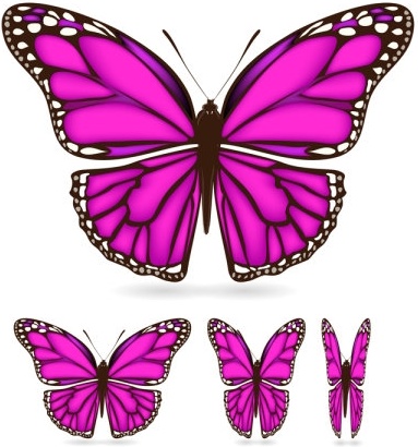 beautiful butterfly 02 vector