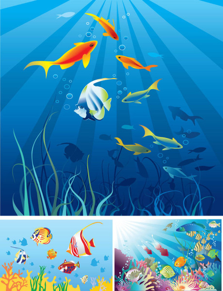 beautiful cartoon marine scenes vector
