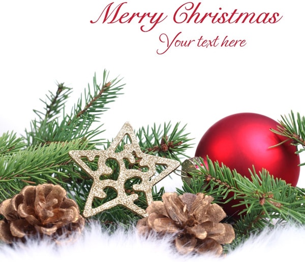 beautiful christmas design elements 68 hd picture 