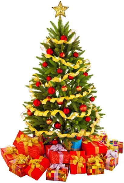 beautiful christmas tree 02 hd picture 