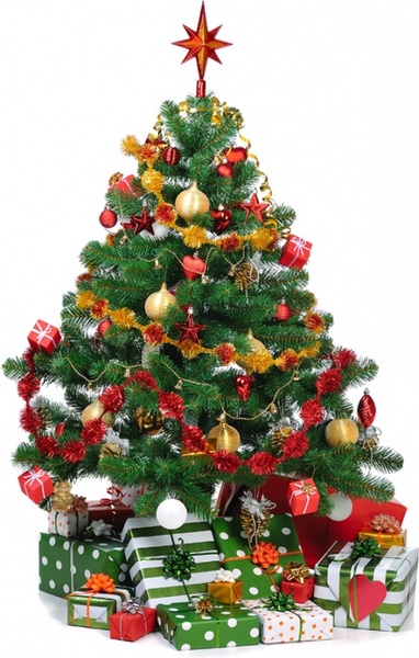 beautiful christmas tree 2 hd pictures 