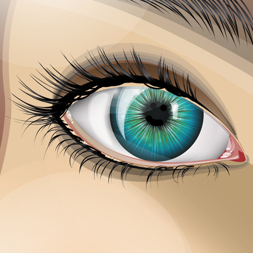 beautiful eyes vector graphic