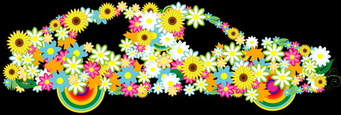 beautiful floral car design graphics 