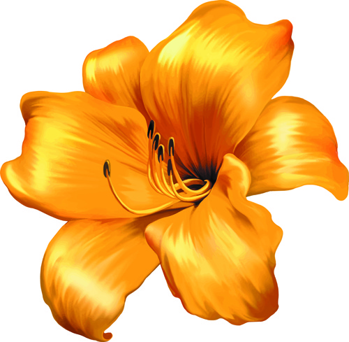 Beautiful flower set vector Vectors images graphic art designs in ...