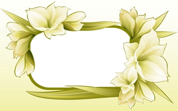 beautiful flowers and lace 04 vector