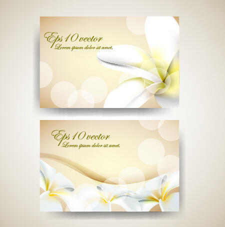 beautiful flowers business cards vector 