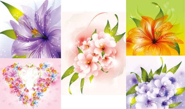 Beautiful flowers Collections