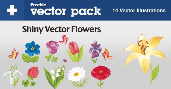 beautiful flowers vector