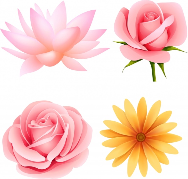 petals icons modern bright colored 3d design 