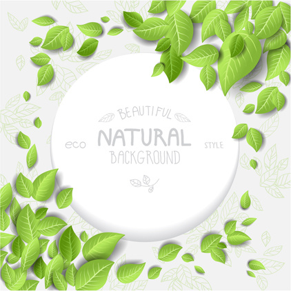 beautiful green leaves natural background vector 