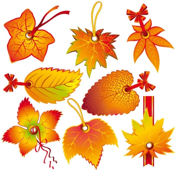 beautiful leaves 2 tag vector