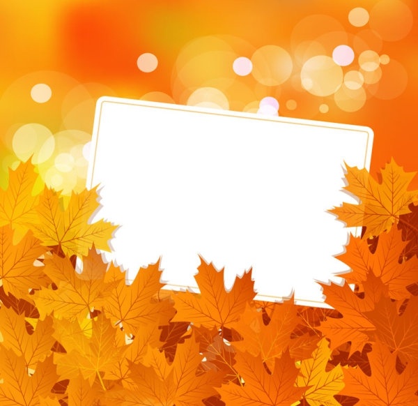 beautiful maple leaf background 02 vector