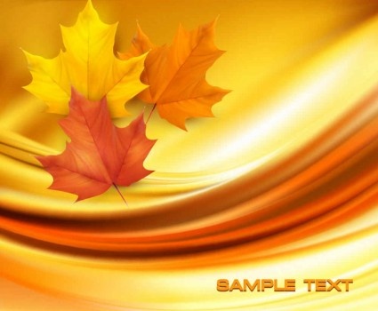 beautiful maple leaf background vector set
