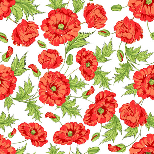 beautiful poppy seamless pattern set vector