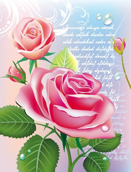 decorative roses background elegant colorful closeup design