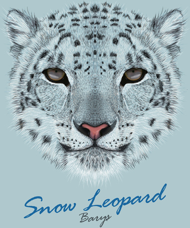 beautiful snow leopard vector background