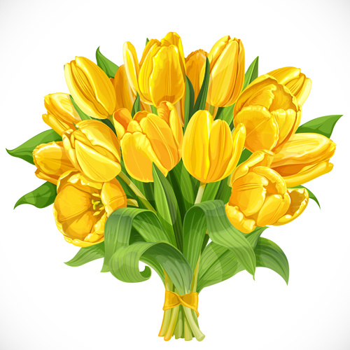 beautiful yellow tulips vector