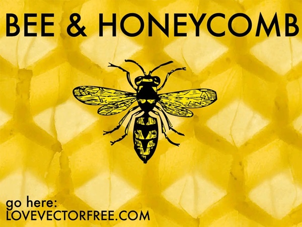 Bee and Honeycomb