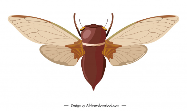 bee insect icon colored flat sketch straighten wings