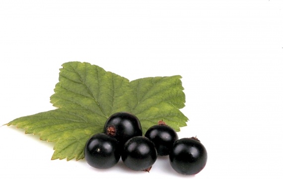 berry black food