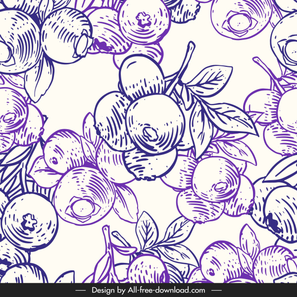 berry fruit pattern template classical handdrawn sketch