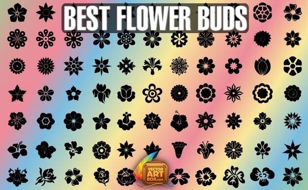 Best Flower Buds