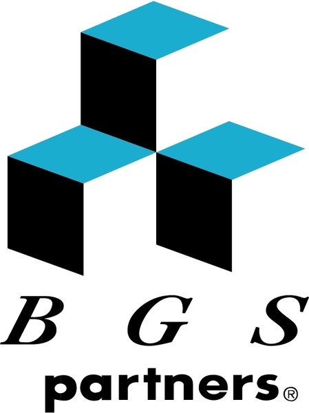 bgs partners