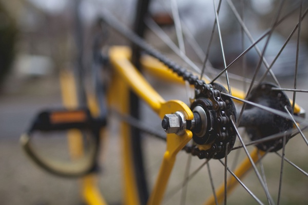 bicycle bike bug chain closeup color cycle detail 